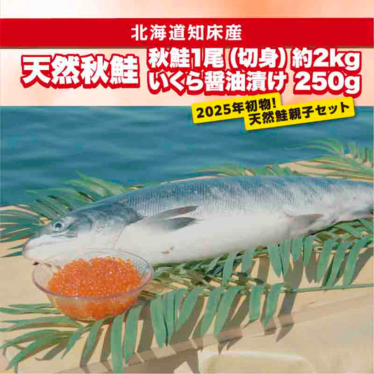 秋鮭いくらセット