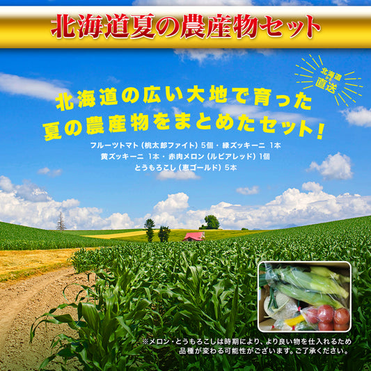 北海道夏の農産物セット
