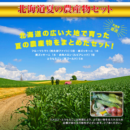 北海道夏の農産物セット