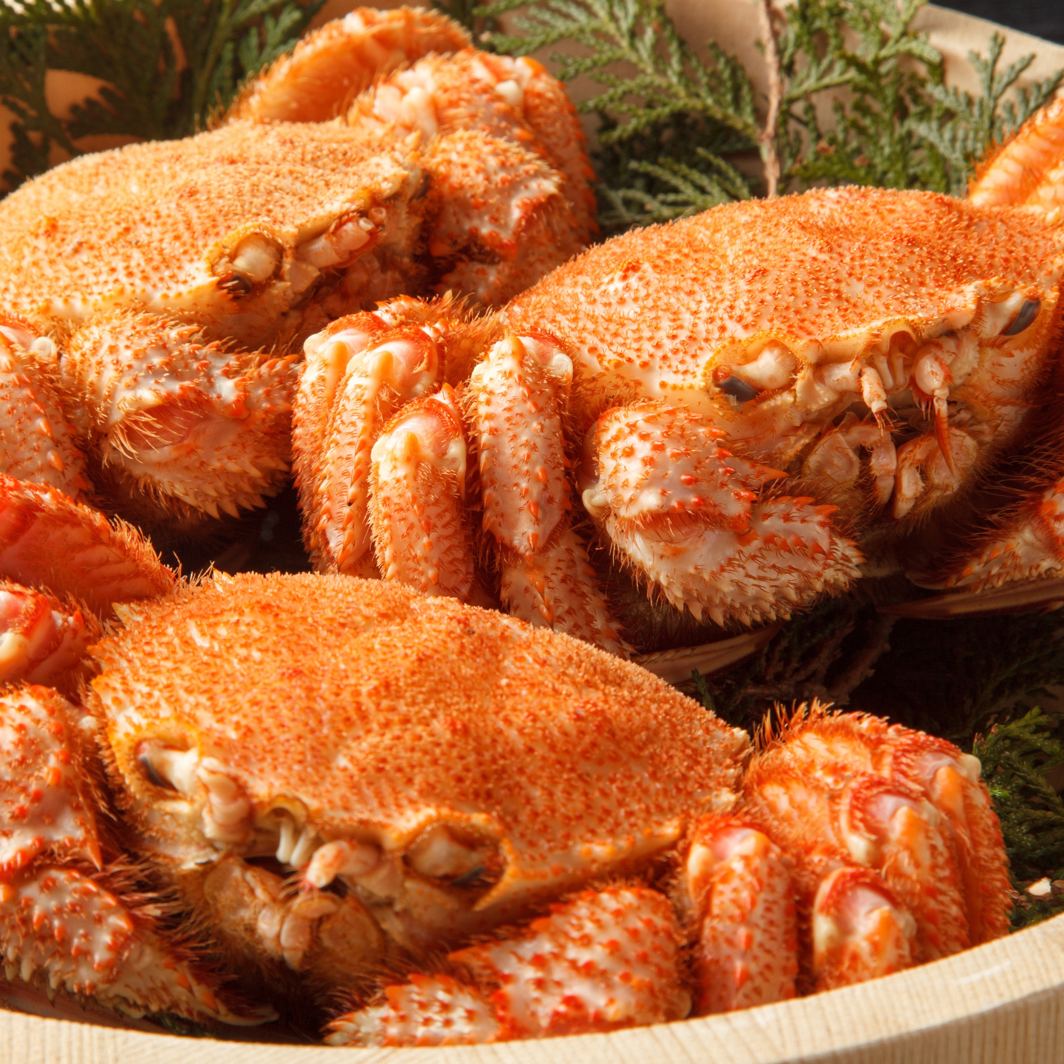 カニ – BS11SHOP産直通販