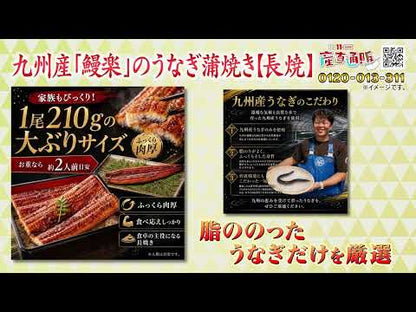 九州産「鰻楽」のうなぎ蒲焼き【長焼】2尾
