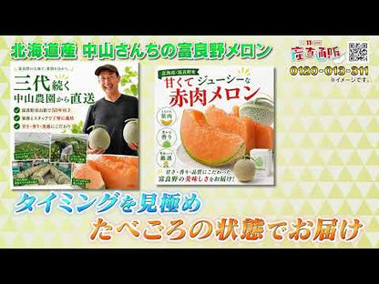 【先行予約販売】北海道産 中山さんちの富良野メロン 赤肉メロン  特大2kg前後×2玉