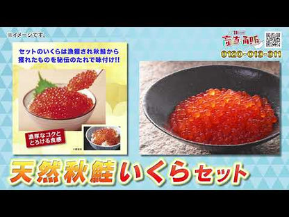 秋鮭いくらセット