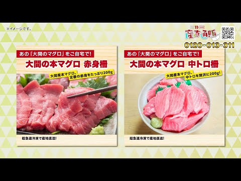 【シロクロ 様】専用・（赤360g×2袋）★【リクエスト特割特価】 楽天市場】送料無料 [新洋水産] まぐろ 業務用/キハダマグロ赤身